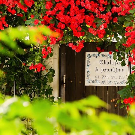 Chalupa U Čápů Nove Mlyny Exteriér fotografie