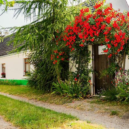 Chalupa U Čápů Nove Mlyny Exteriér fotografie